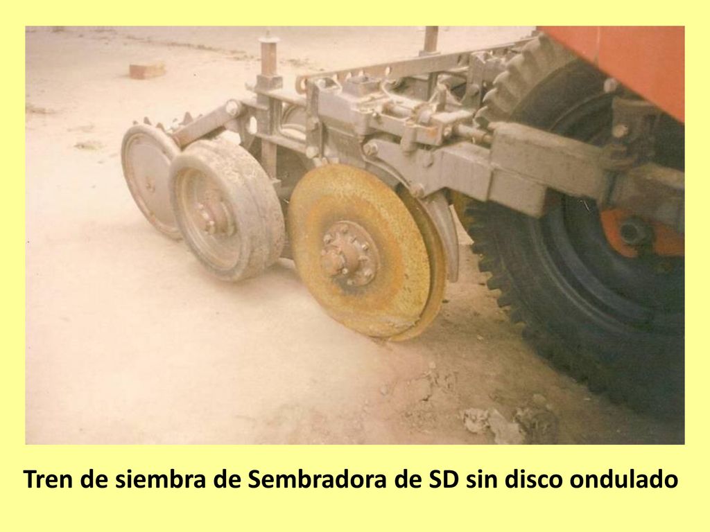 Tren de siembra de Sembradora de SD sin disco ondulado