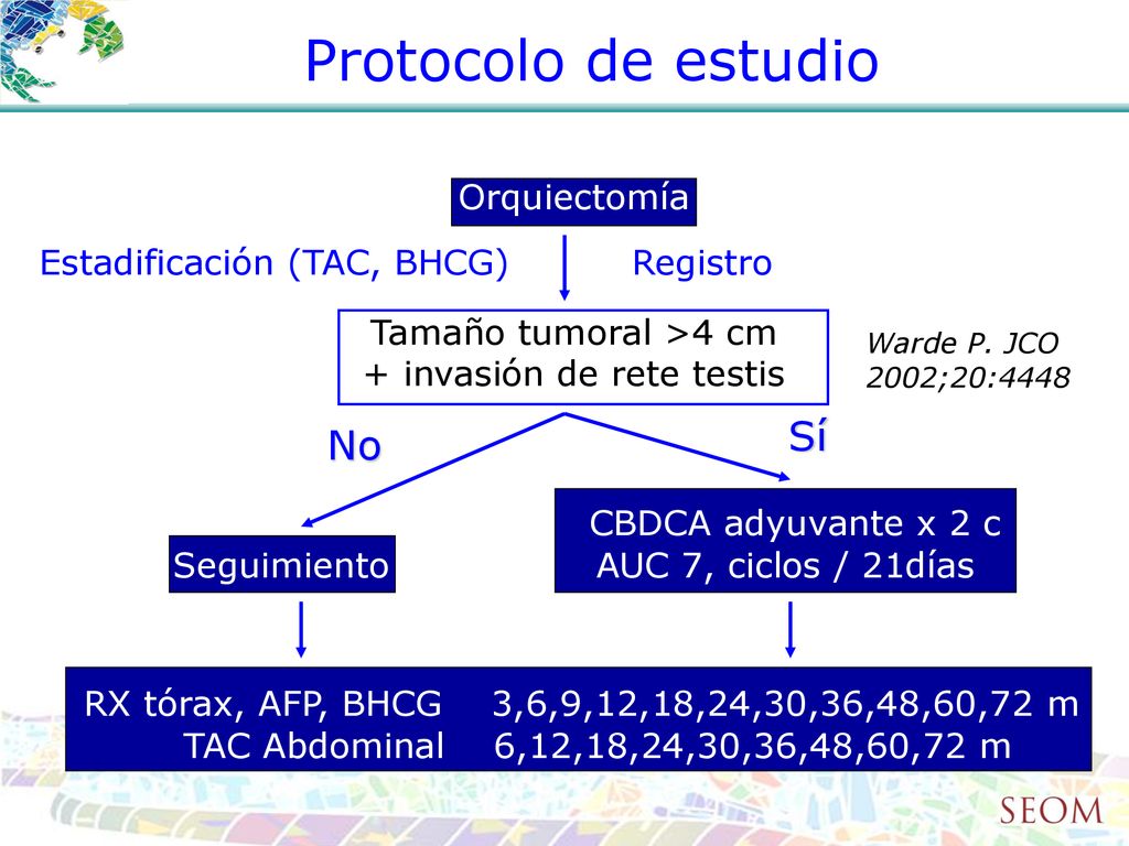 Protocolo de estudio CBDCA adyuvante x 2 c Sí No