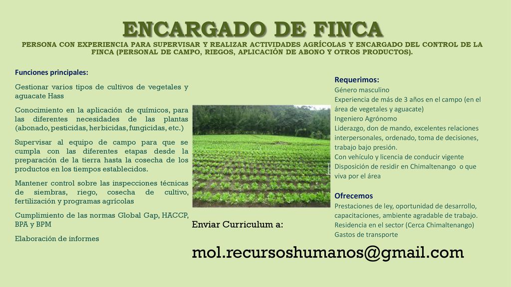 Encargado de Finca Persona con experiencia para supervisar y realizar actividades agrícolas y encargado del control de la finca (personal de campo, riegos, aplicación de abono y otros productos).