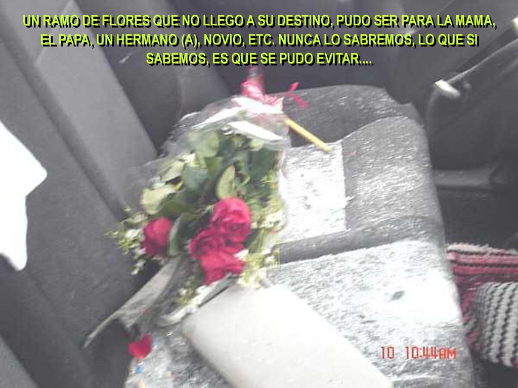UN RAMO DE FLORES QUE NO LLEGO A SU DESTINO, PUDO SER PARA LA MAMA, EL PAPA, UN HERMANO (A), NOVIO, ETC.