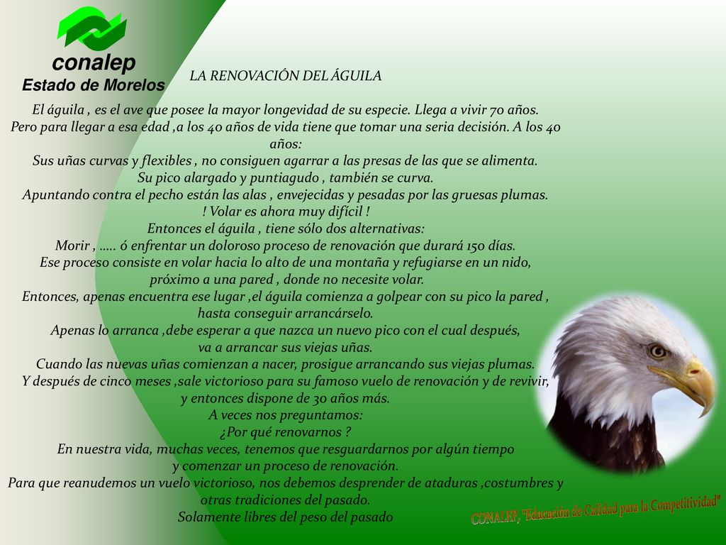 LA RENOVACIÓN DEL ÁGUILA El águila , es el ave que posee la mayor longevidad de su especie.