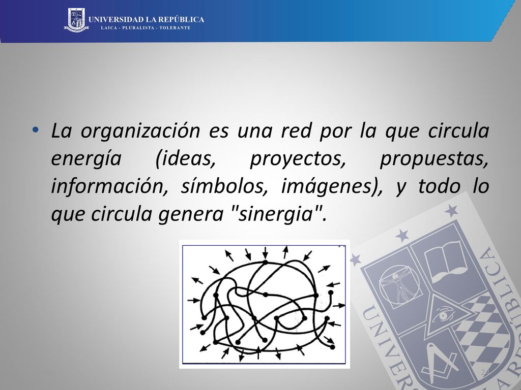 La organización es una red por la que circula energía (ideas, proyectos, propuestas, información, símbolos, imágenes), y todo lo que circula genera sinergia .