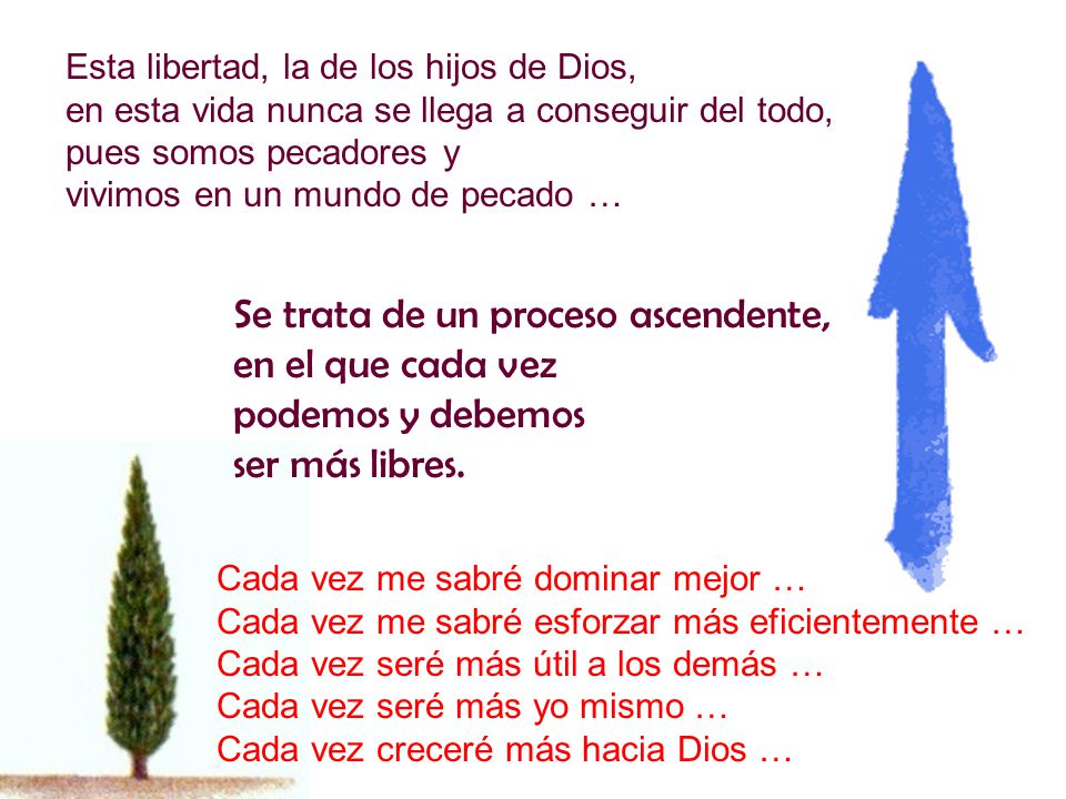 Se trata de un proceso ascendente, en el que cada vez