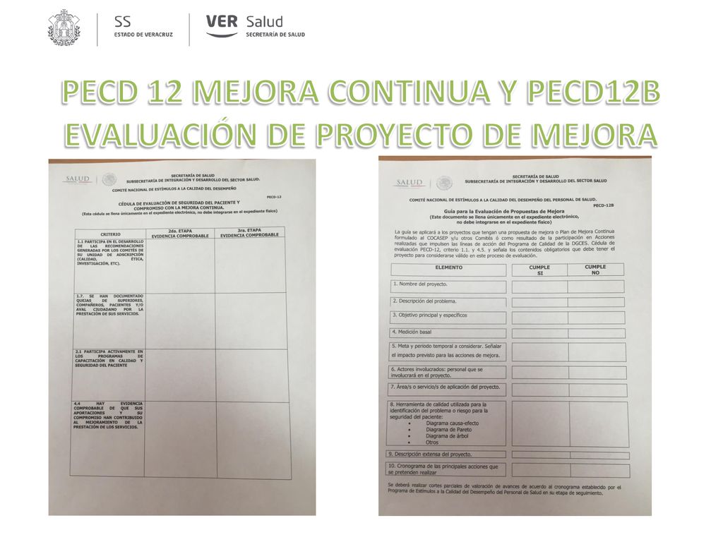 PECD 12 MEJORA CONTINUA Y PECD12B EVALUACIÓN DE PROYECTO DE MEJORA