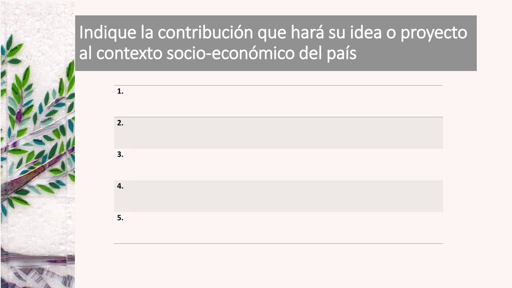Indique la contribución que hará su idea o proyecto al contexto socio-económico del país