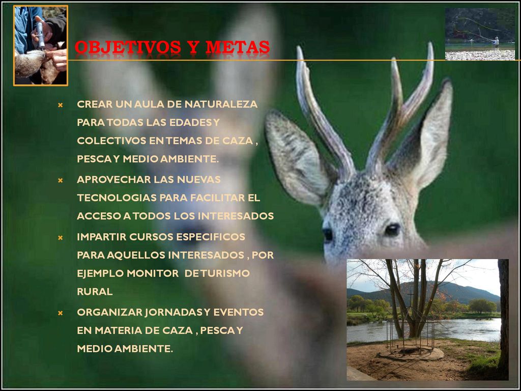 Objetivos y metas CREAR UN AULA DE NATURALEZA PARA TODAS LAS EDADES Y COLECTIVOS EN TEMAS DE CAZA , PESCA Y MEDIO AMBIENTE.