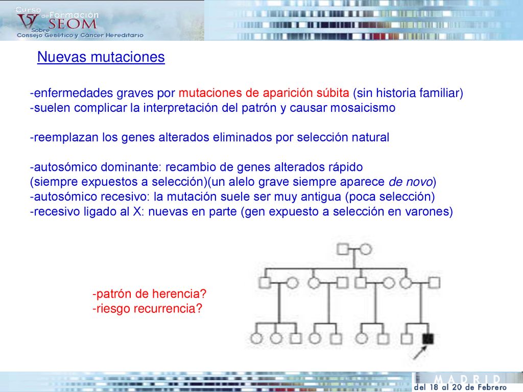 Nuevas mutaciones -enfermedades graves por mutaciones de aparición súbita (sin historia familiar)