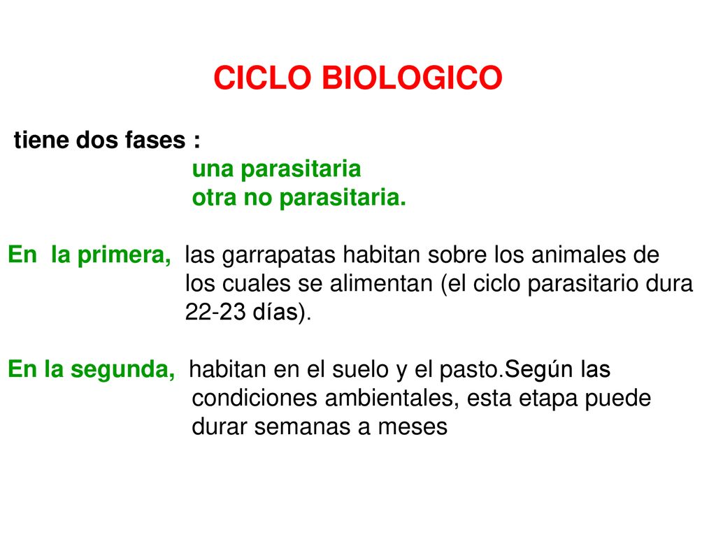 CICLO BIOLOGICO tiene dos fases : una parasitaria otra no parasitaria.