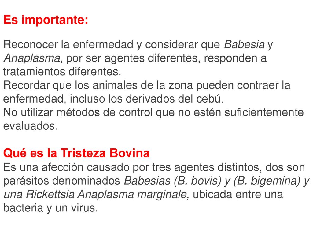 Es importante: Reconocer la enfermedad y considerar que Babesia y Anaplasma, por ser agentes diferentes, responden a tratamientos diferentes. Recordar que los animales de la zona pueden contraer la enfermedad, incluso los derivados del cebú. No utilizar métodos de control que no estén suficientemente evaluados.