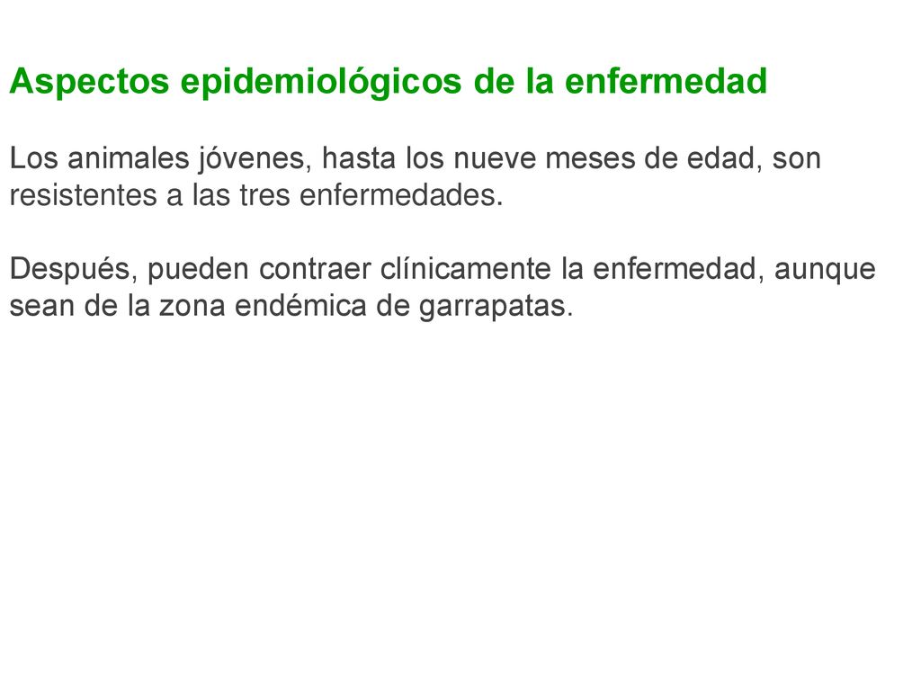 Aspectos epidemiológicos de la enfermedad Los animales jóvenes, hasta los nueve meses de edad, son resistentes a las tres enfermedades.