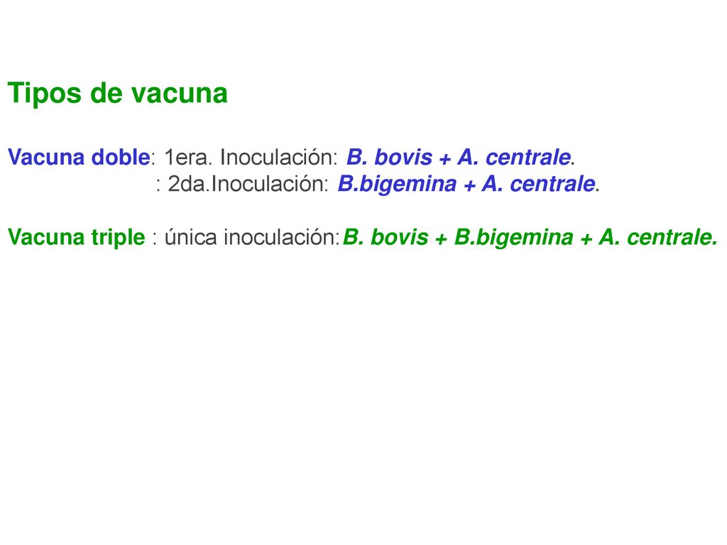 Tipos de vacuna Vacuna doble: 1era. Inoculación: B. bovis + A. centrale. : 2da.Inoculación: B.bigemina + A. centrale.