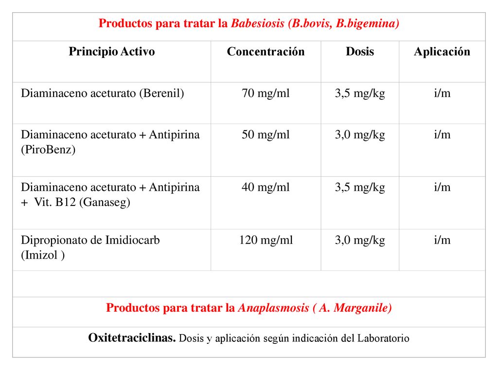 Productos para tratar la Babesiosis (B.bovis, B.bigemina)