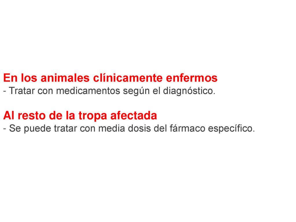En los animales clínicamente enfermos - Tratar con medicamentos según el diagnóstico.