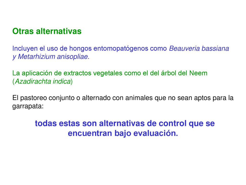 Otras alternativas Incluyen el uso de hongos entomopatógenos como Beauveria bassiana y Metarhizium anisopliae.