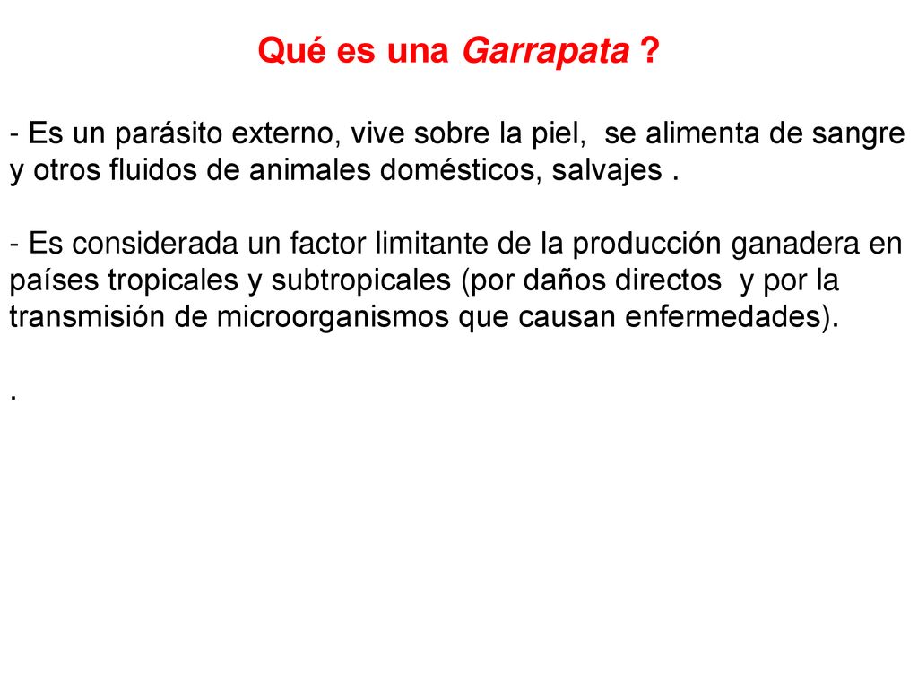 Qué es una Garrapata - Es un parásito externo, vive sobre la piel, se alimenta de sangre y otros fluidos de animales domésticos, salvajes .