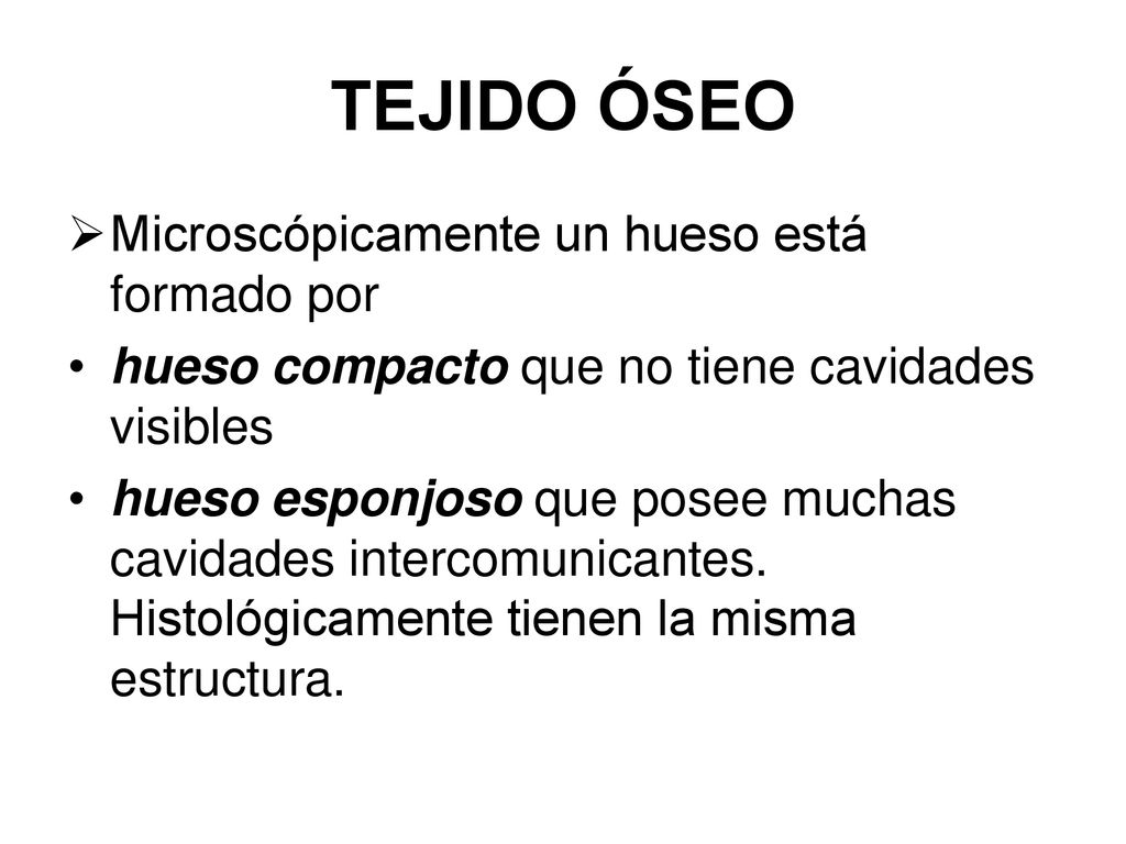 TEJIDO ÓSEO Microscópicamente un hueso está formado por
