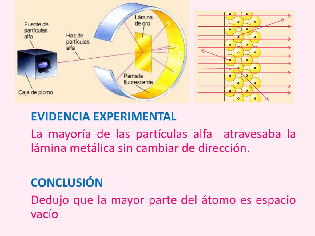 EVIDENCIA EXPERIMENTAL La mayoría de las partículas alfa atravesaba la lámina metálica sin cambiar de dirección.