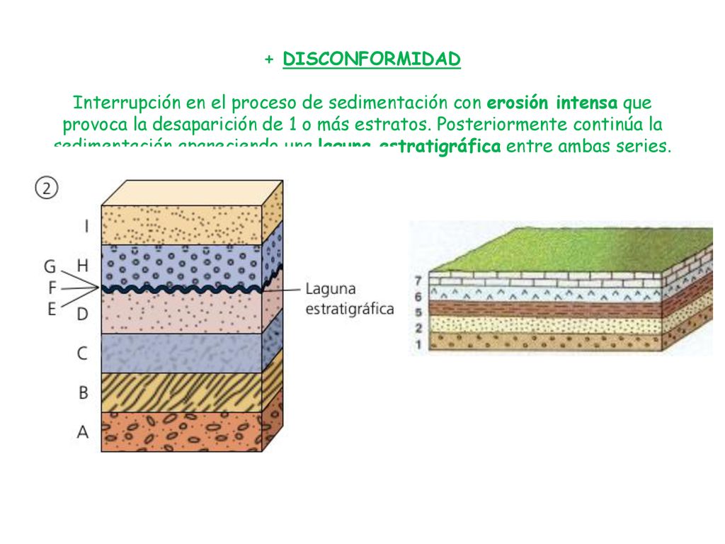 + DISCONFORMIDAD Interrupción en el proceso de sedimentación con erosión intensa que provoca la desaparición de 1 o más estratos.