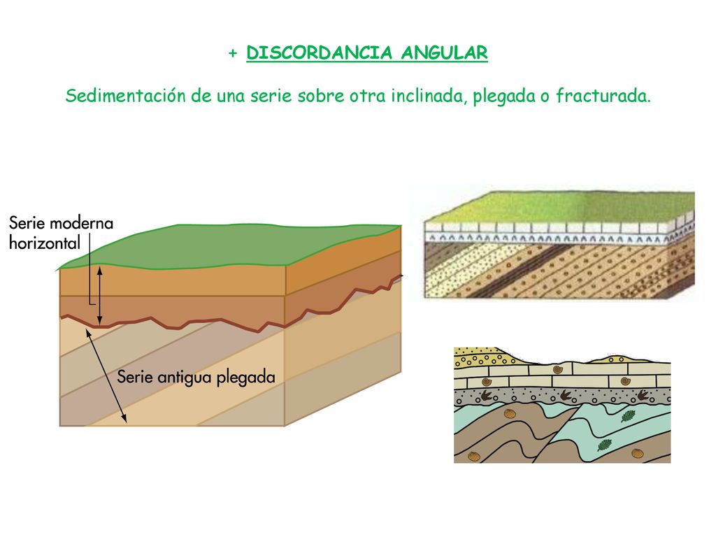 + DISCORDANCIA ANGULAR Sedimentación de una serie sobre otra inclinada, plegada o fracturada.