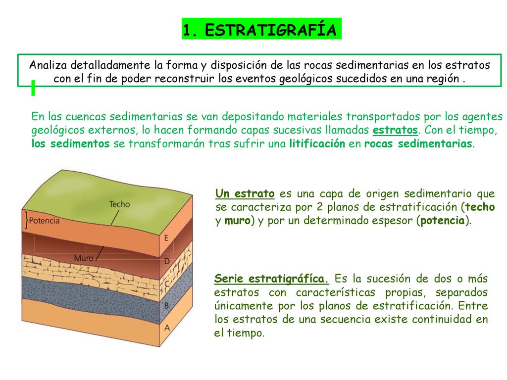 1. ESTRATIGRAFÍA Analiza detalladamente la forma y disposición de las rocas sedimentarias en los estratos con el fin de poder reconstruir los eventos geológicos sucedidos en una región .