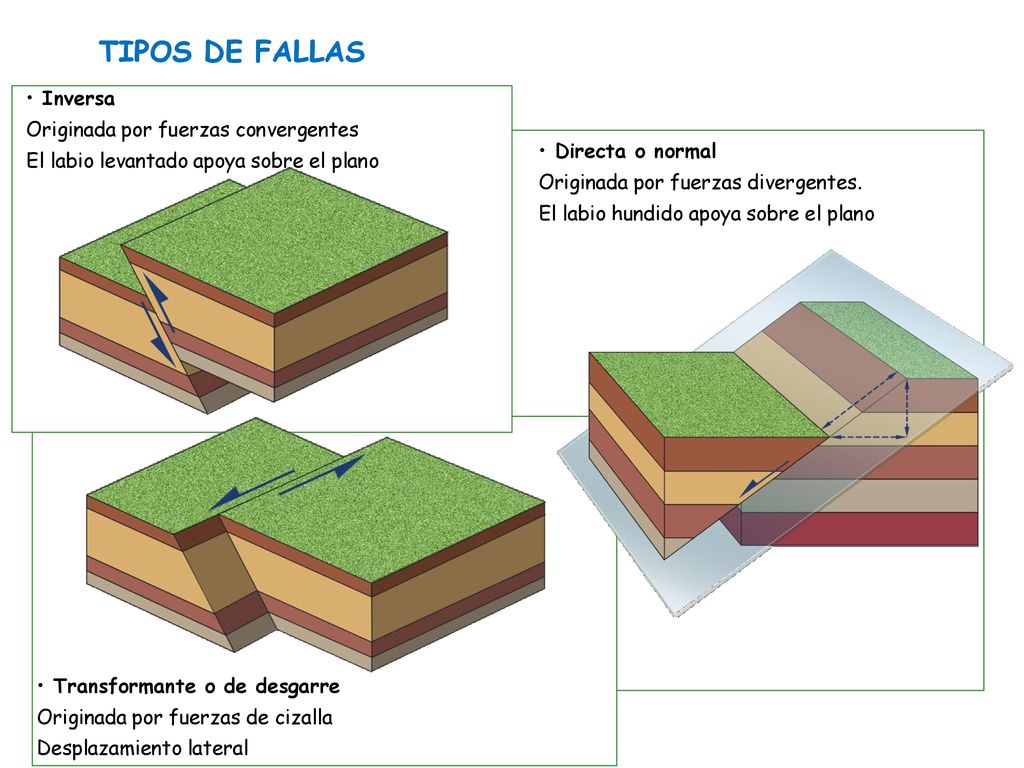 TIPOS DE FALLAS Inversa Originada por fuerzas convergentes