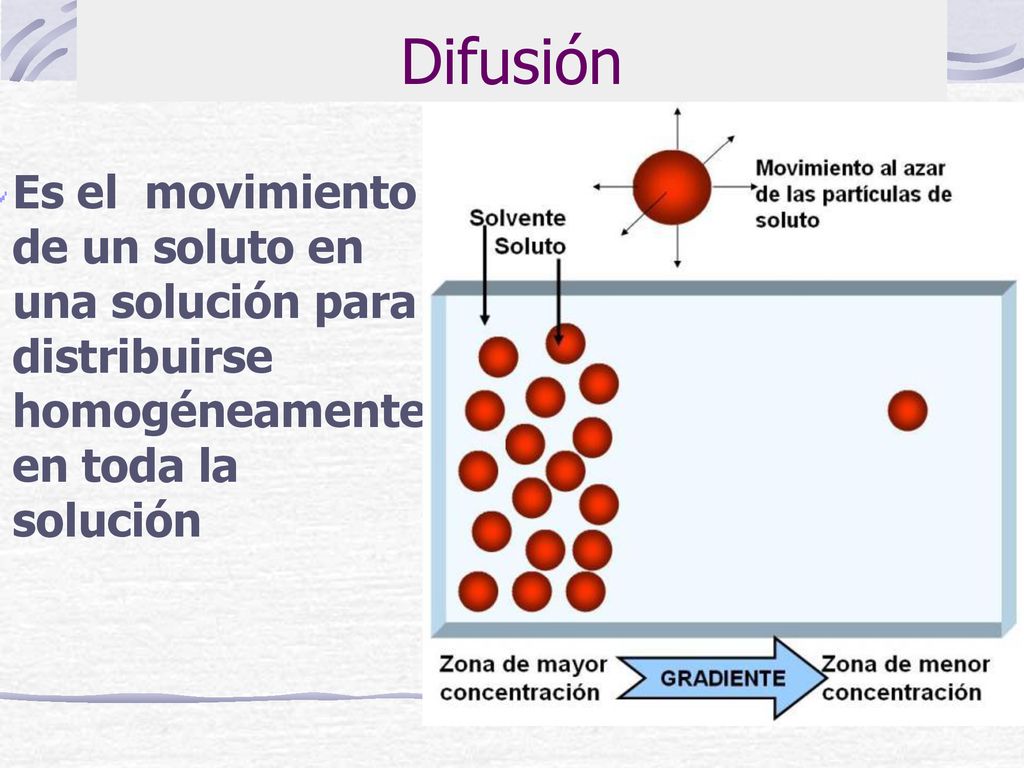 Difusión Es el movimiento de un soluto en una solución para distribuirse homogéneamente en toda la solución.