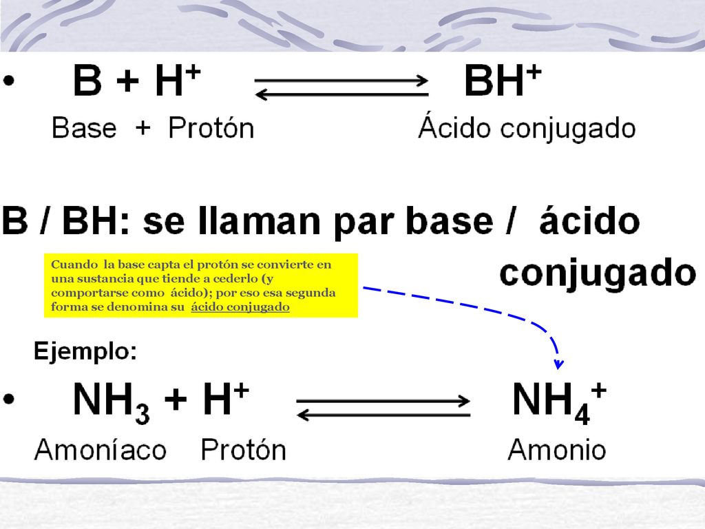 Cuando la base capta el protón se convierte en una sustancia que tiende a cederlo (y comportarse como ácido); por eso esa segunda forma se denomina su ácido conjugado
