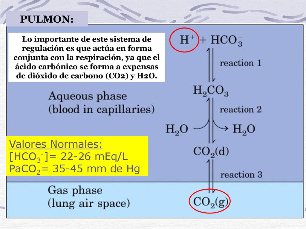 PULMON: Valores Normales: [HCO3-]= mEq/L PaCO2= mm de Hg