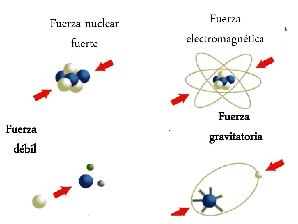 Fuerza electromagnética Fuerza nuclear fuerte Fuerza gravitatoria Fuerza débil