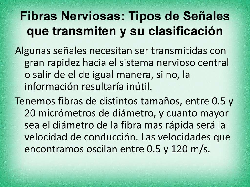 Fibras Nerviosas: Tipos de Señales que transmiten y su clasificación