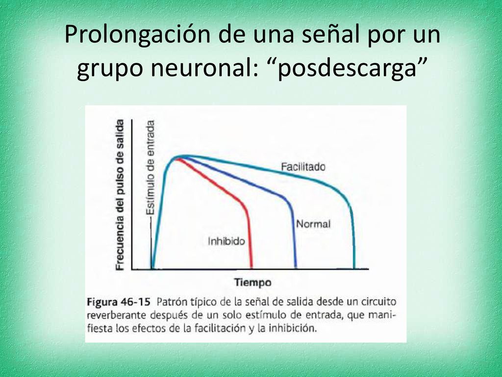 Prolongación de una señal por un grupo neuronal: posdescarga