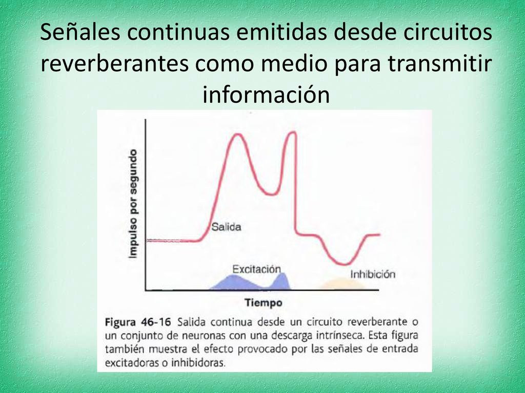 Señales continuas emitidas desde circuitos reverberantes como medio para transmitir información