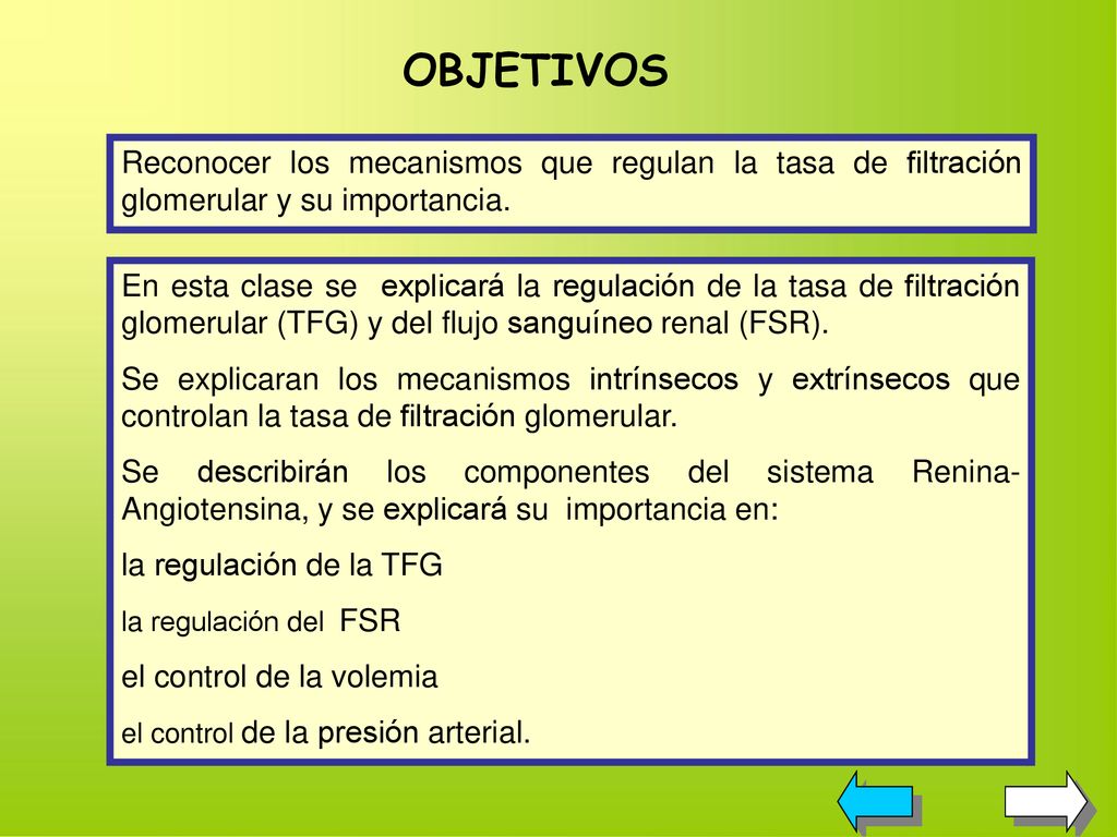 OBJETIVOS Reconocer los mecanismos que regulan la tasa de filtración glomerular y su importancia.