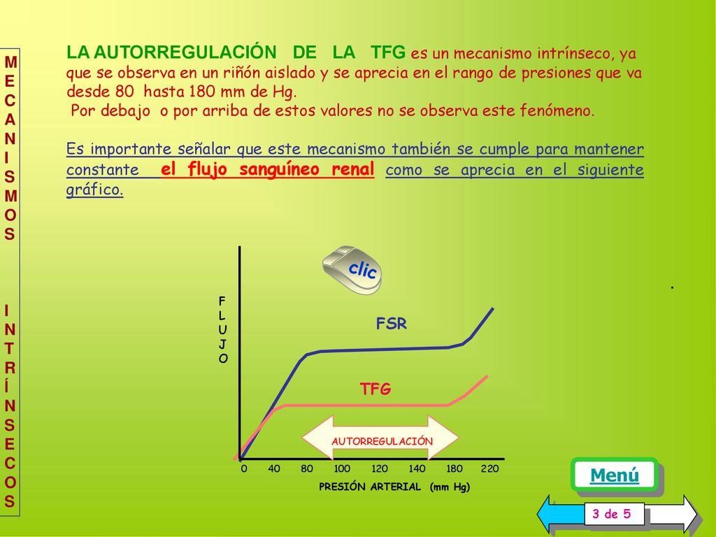 LA AUTORREGULACIÓN DE LA TFG es un mecanismo intrínseco, ya que se observa en un riñón aislado y se aprecia en el rango de presiones que va desde 80 hasta 180 mm de Hg.