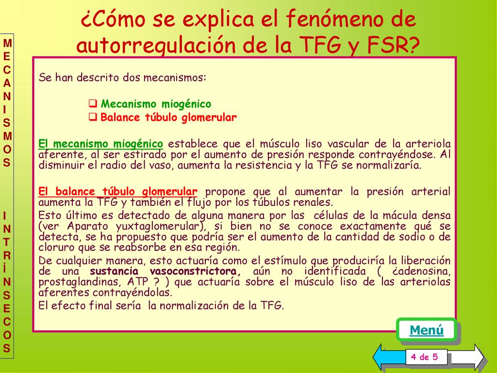 ¿Cómo se explica el fenómeno de autorregulación de la TFG y FSR