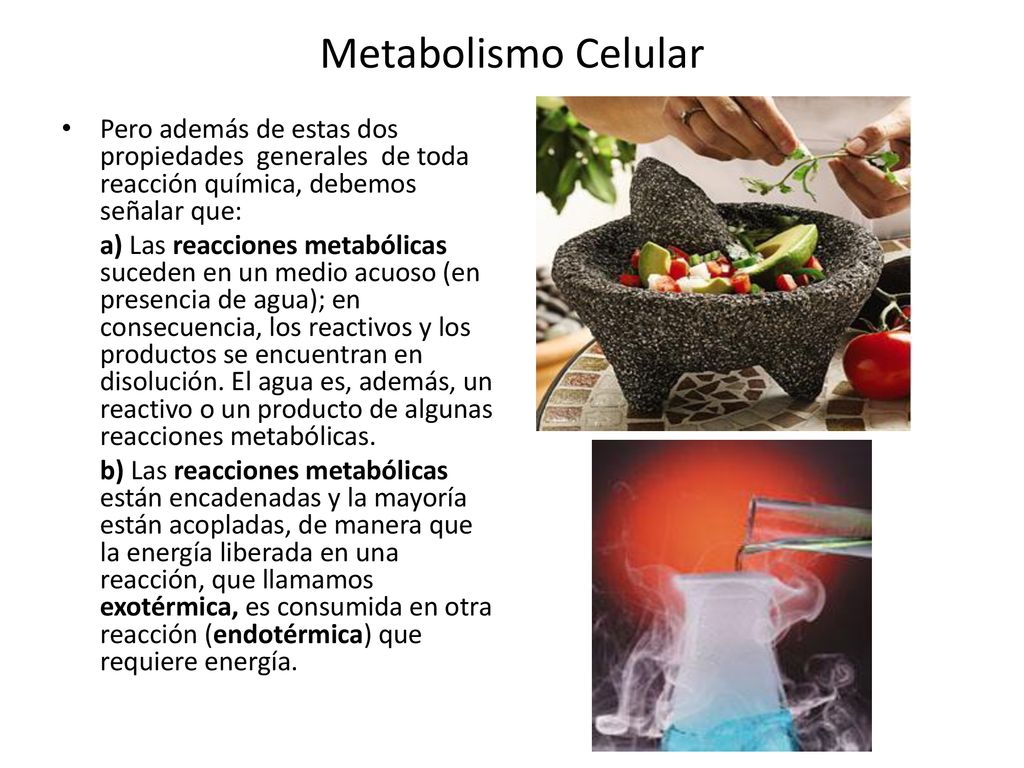 Metabolismo Celular Pero además de estas dos propiedades generales de toda reacción química, debemos señalar que: