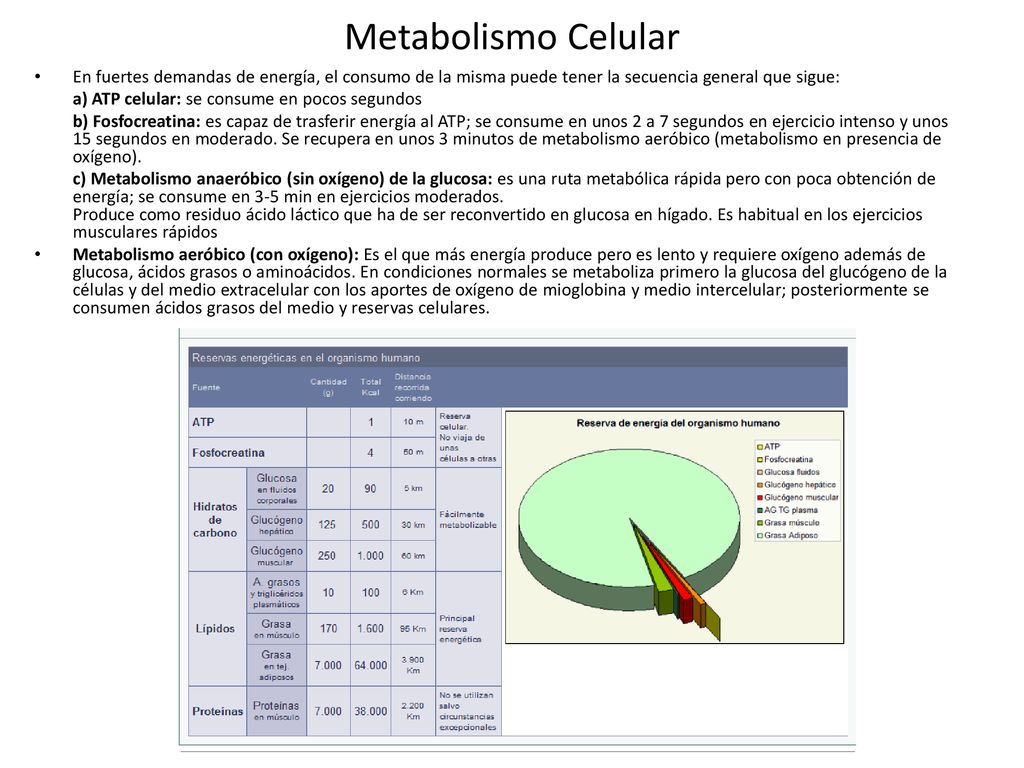 Metabolismo Celular En fuertes demandas de energía, el consumo de la misma puede tener la secuencia general que sigue:
