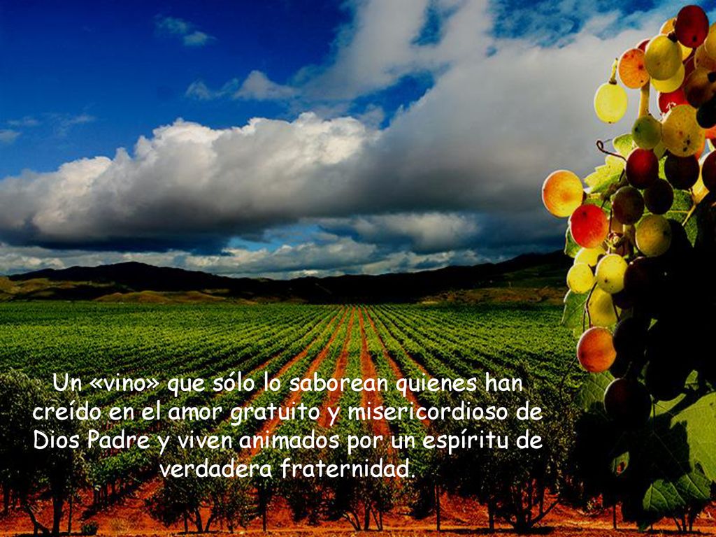 Un «vino» que sólo lo saborean quienes han creído en el amor gratuito y misericordioso de Dios Padre y viven animados por un espíritu de verdadera fraternidad.