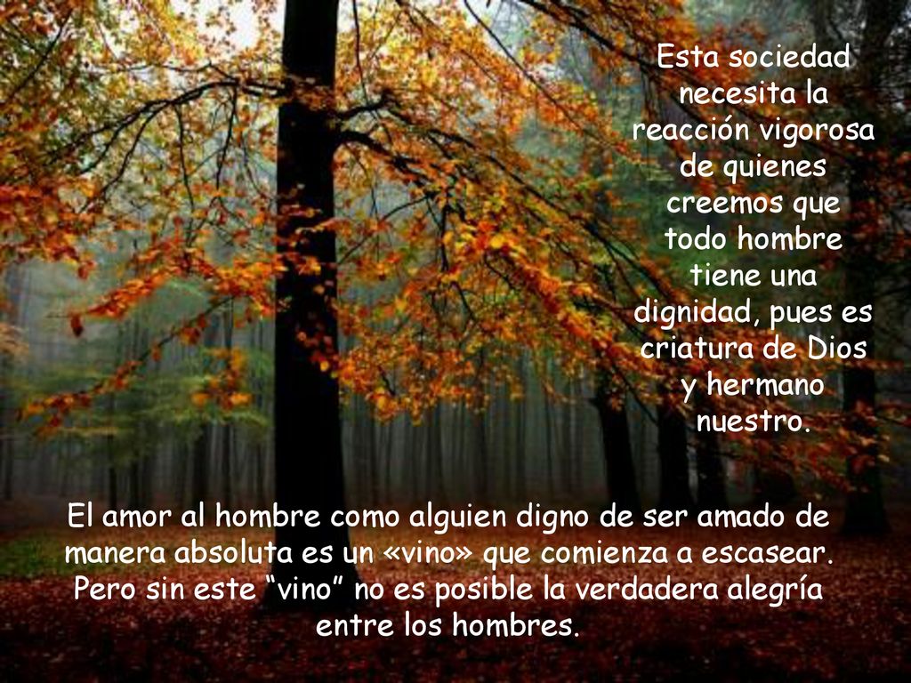 Esta sociedad necesita la reacción vigorosa de quienes creemos que todo hombre tiene una dignidad, pues es criatura de Dios y hermano nuestro.