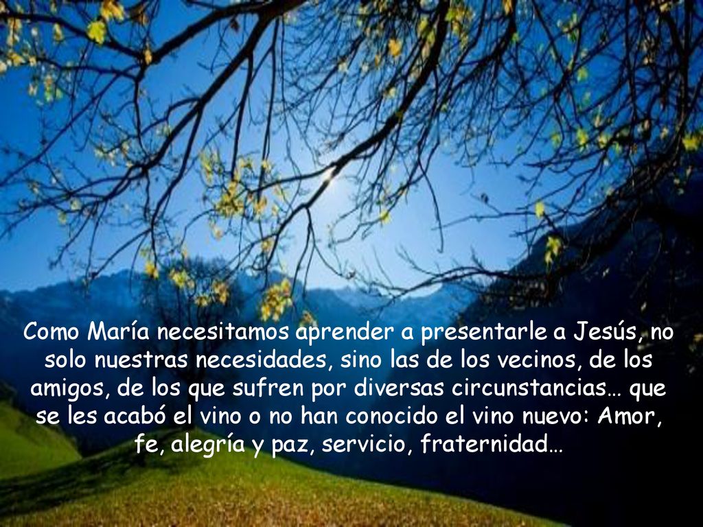 Como María necesitamos aprender a presentarle a Jesús, no solo nuestras necesidades, sino las de los vecinos, de los amigos, de los que sufren por diversas circunstancias… que se les acabó el vino o no han conocido el vino nuevo: Amor, fe, alegría y paz, servicio, fraternidad…