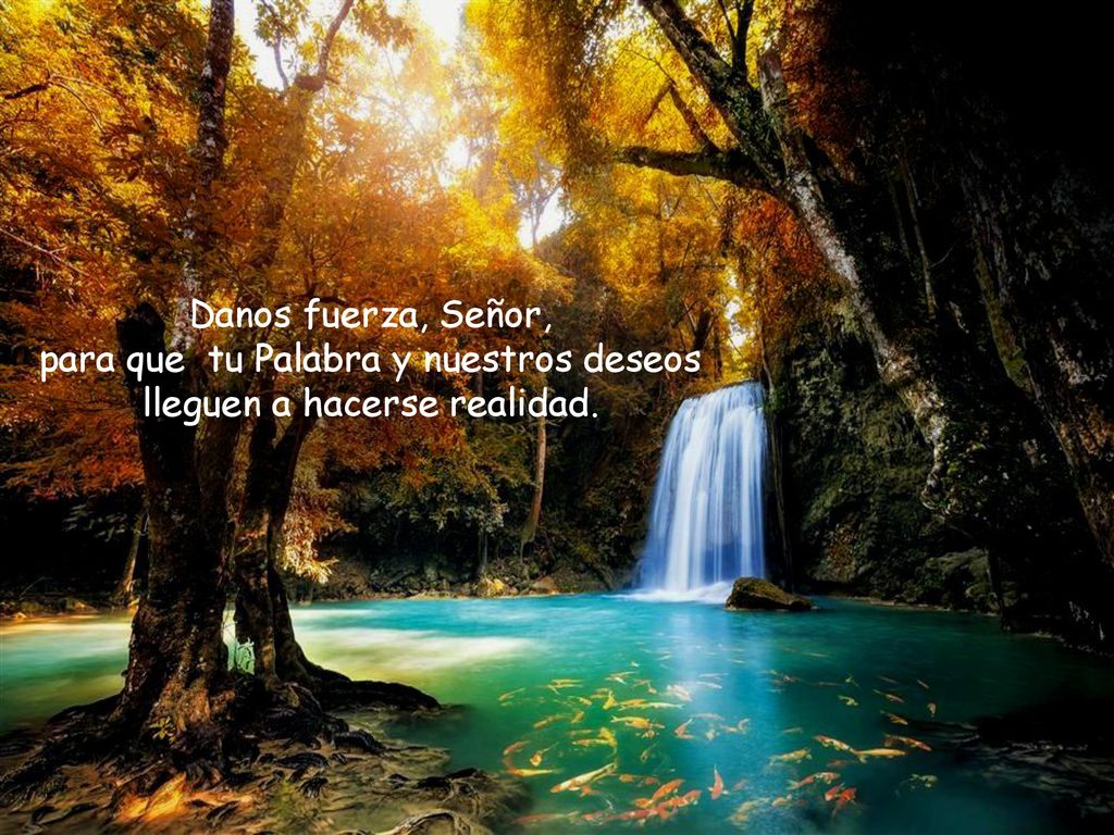 Danos fuerza, Señor, para que tu Palabra y nuestros deseos