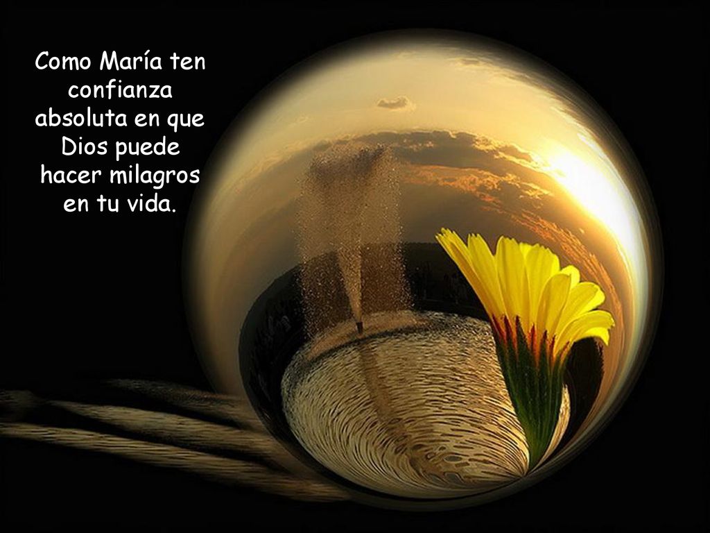 Como María ten confianza absoluta en que Dios puede hacer milagros en tu vida.