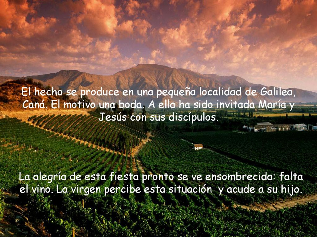 El hecho se produce en una pequeña localidad de Galilea, Caná
