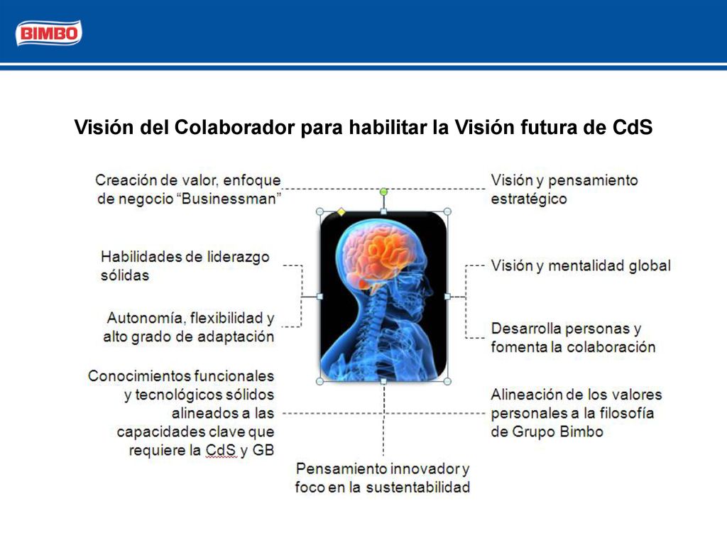 Visión del Colaborador para habilitar la Visión futura de CdS
