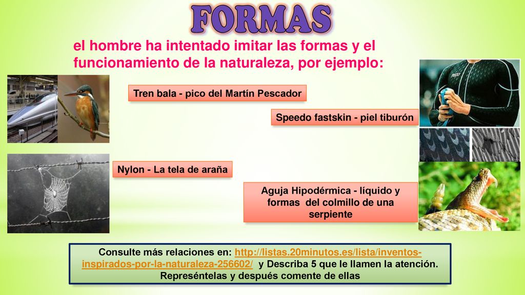 FORMAS el hombre ha intentado imitar las formas y el funcionamiento de la naturaleza, por ejemplo: Tren bala - pico del Martín Pescador.