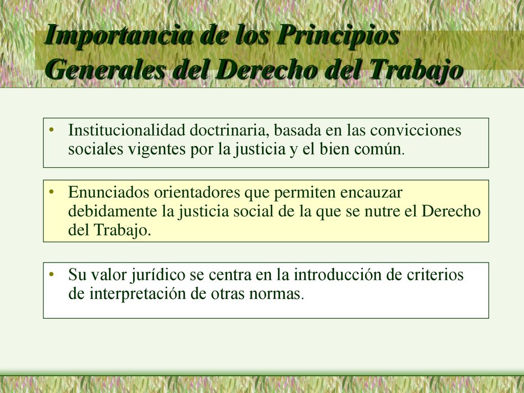 Importancia de los Principios Generales del Derecho del Trabajo