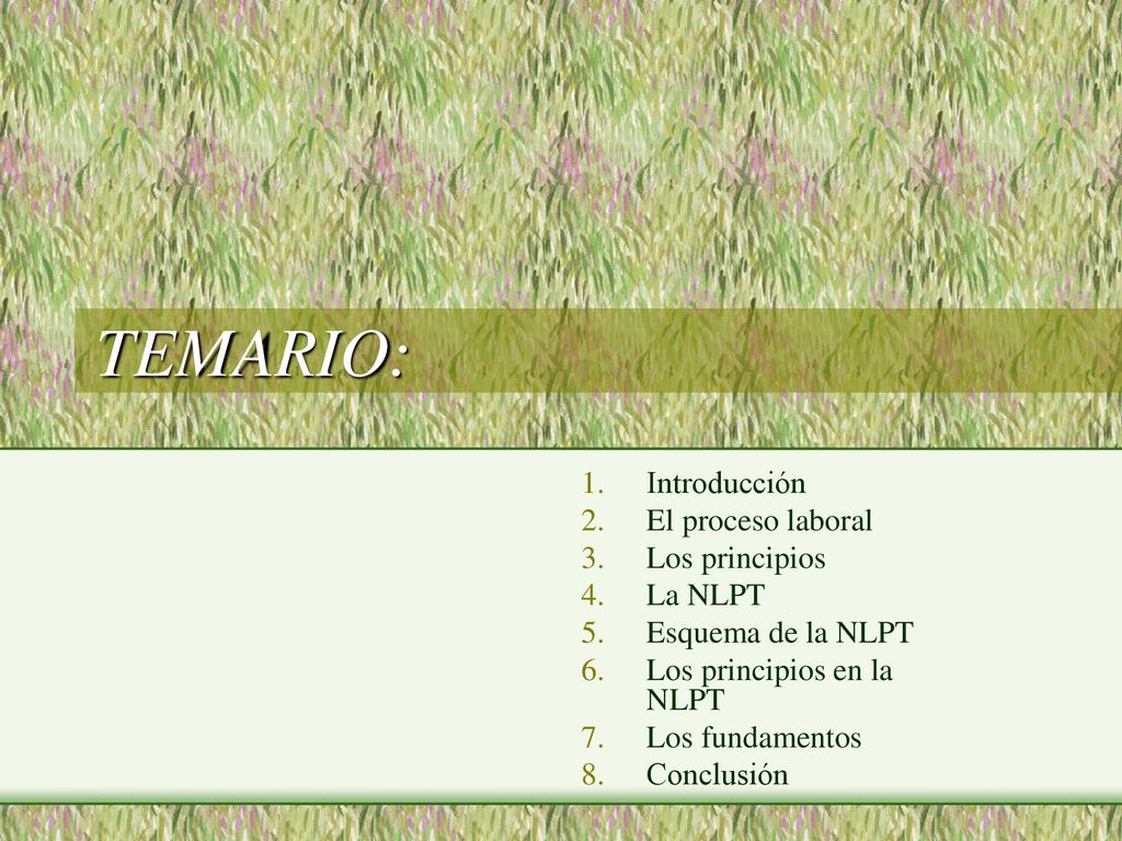 TEMARIO: Introducción El proceso laboral Los principios La NLPT