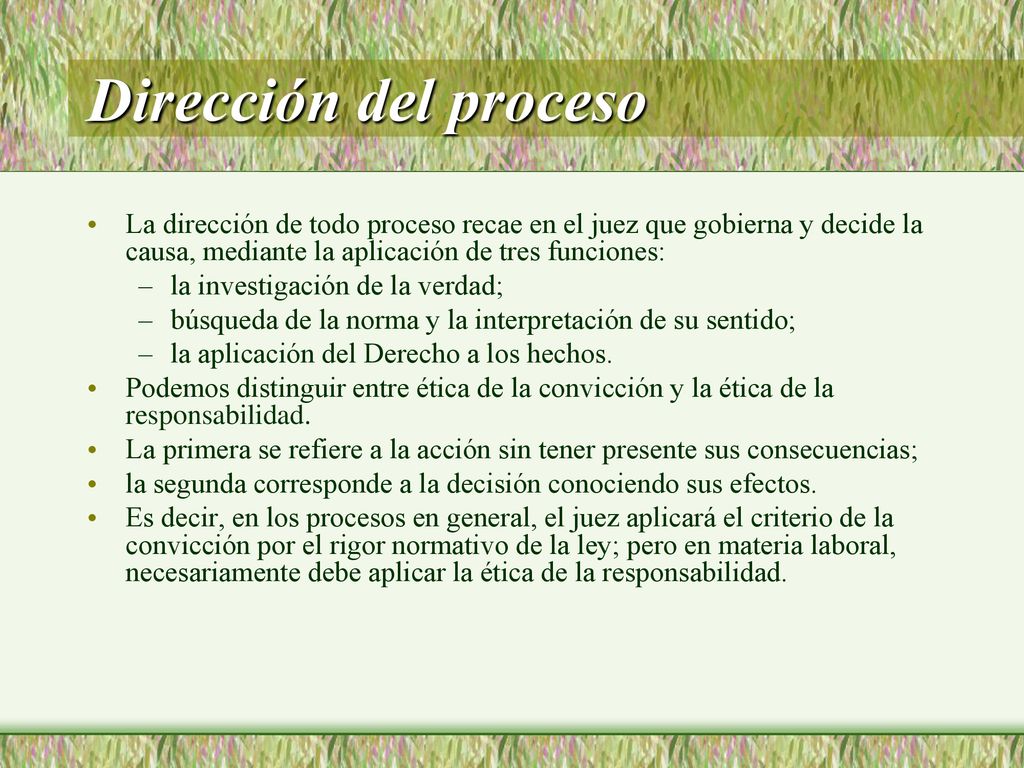 Dirección del proceso La dirección de todo proceso recae en el juez que gobierna y decide la causa, mediante la aplicación de tres funciones: