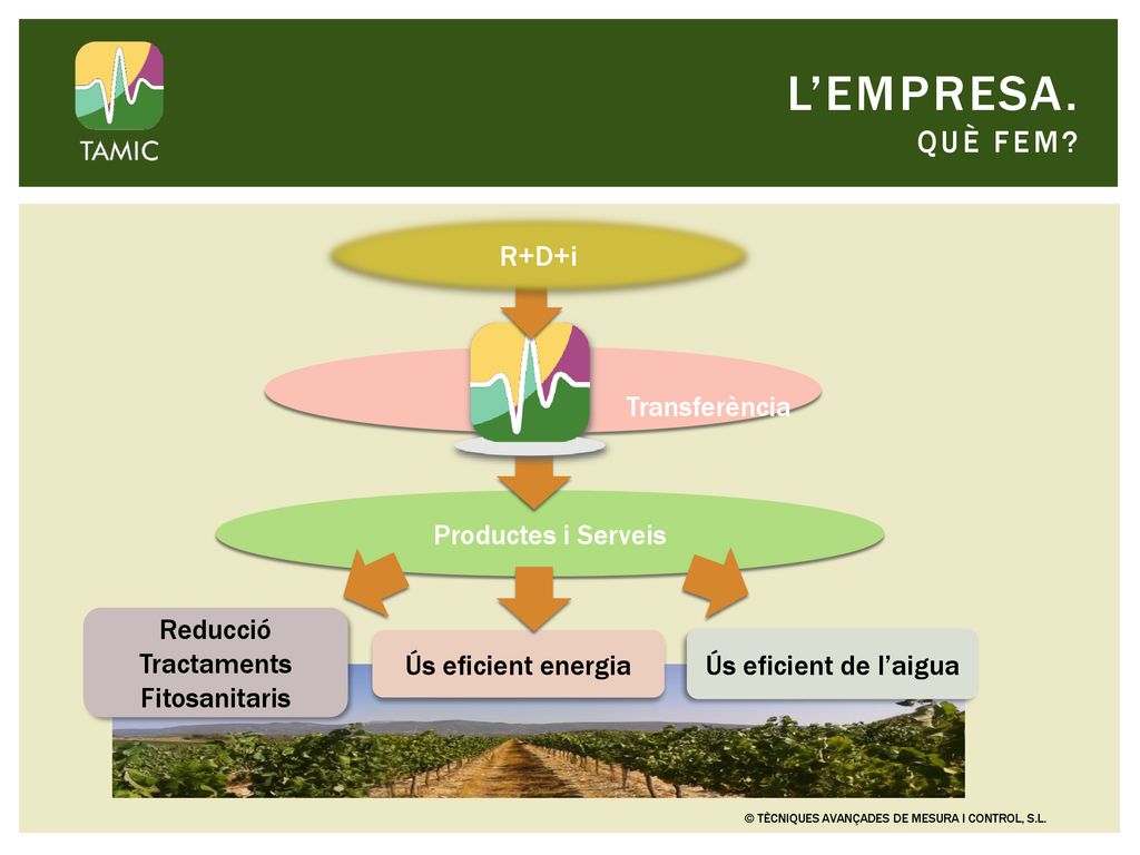 L’EMPRESA. Què fem R+D+i Transferència Productes i Serveis