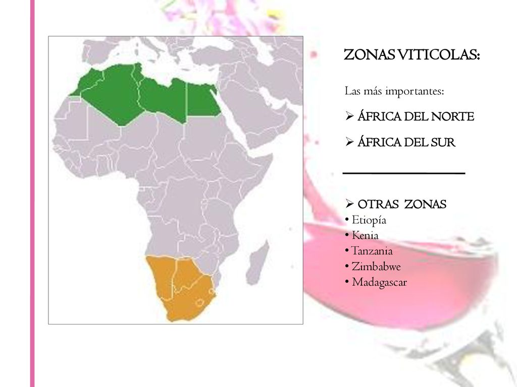 ZONAS VITICOLAS: Las más importantes: ÁFRICA DEL NORTE ÁFRICA DEL SUR